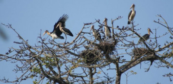 Bhutan Birding watching tour